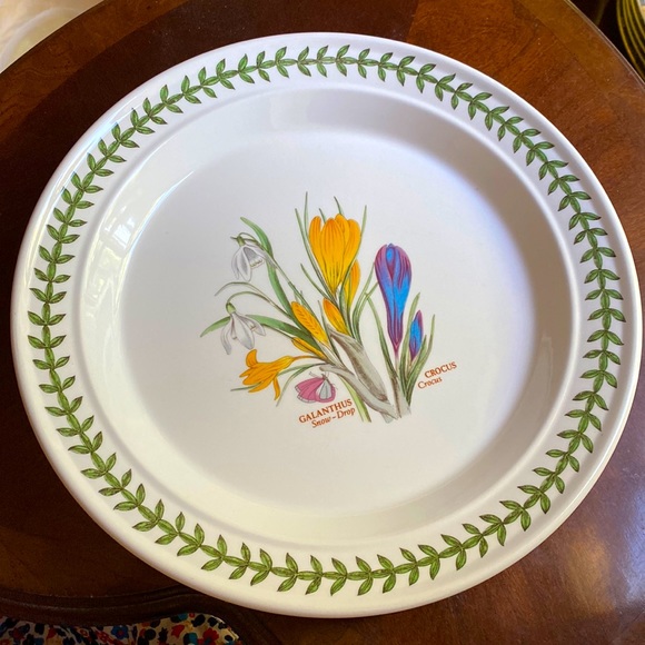2 Portmeirion dinner plates 10.5” in 1.5” deep pasta GALANTHUS CROCUS England - Picture 2 of 12